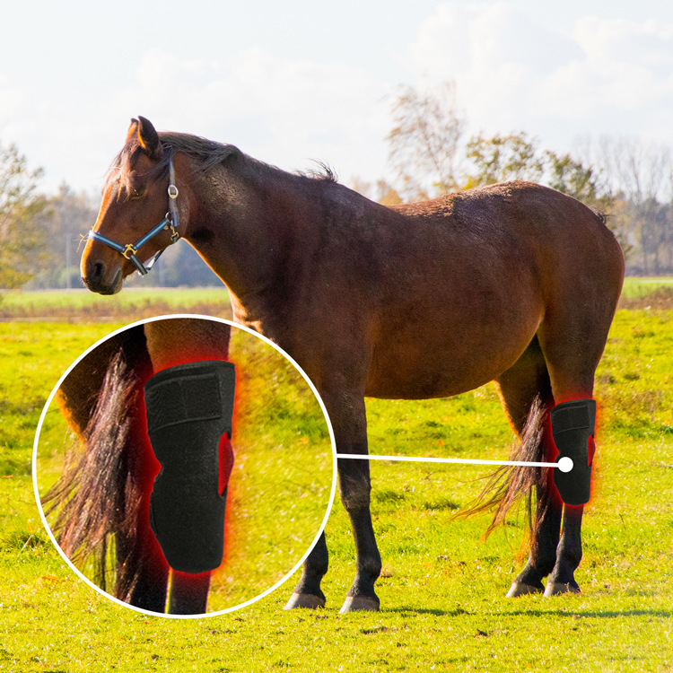 Horse Leg Red Light Therapy Wrap — Equine Recovery Boot with Far-Infrared Heat - Image 5