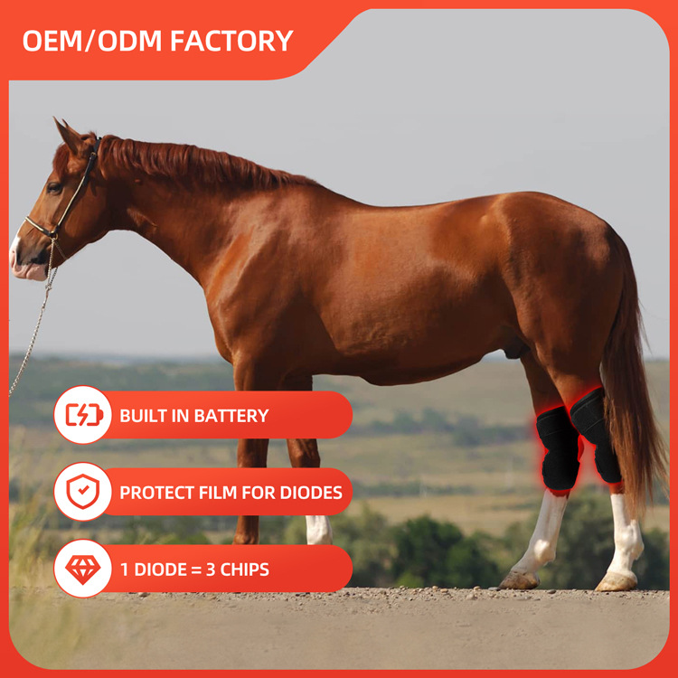 Horse Leg Red Light Therapy Wrap — Equine Recovery Boot with Far-Infrared Heat - Image 4
