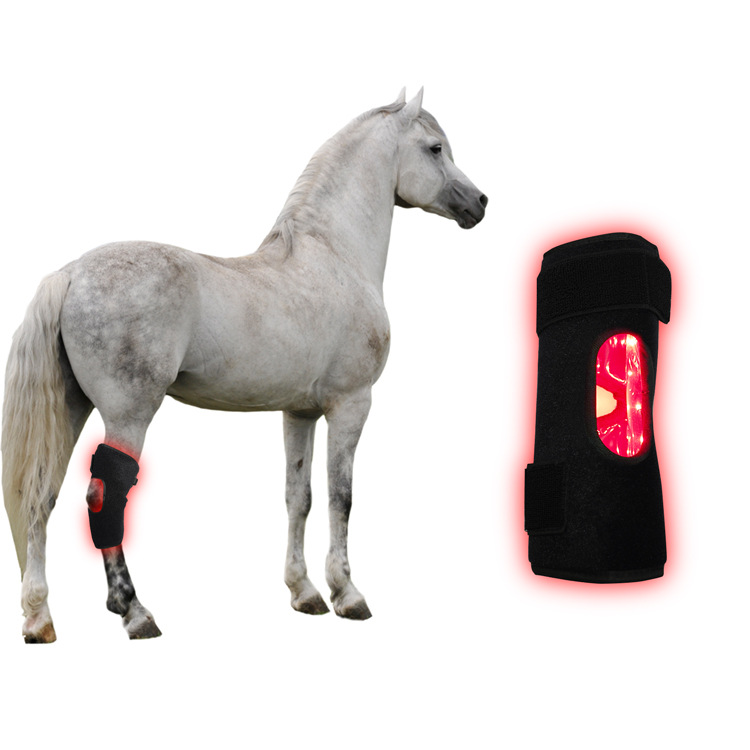 Horse Leg Red Light Therapy Wrap — Complete Usage Guide